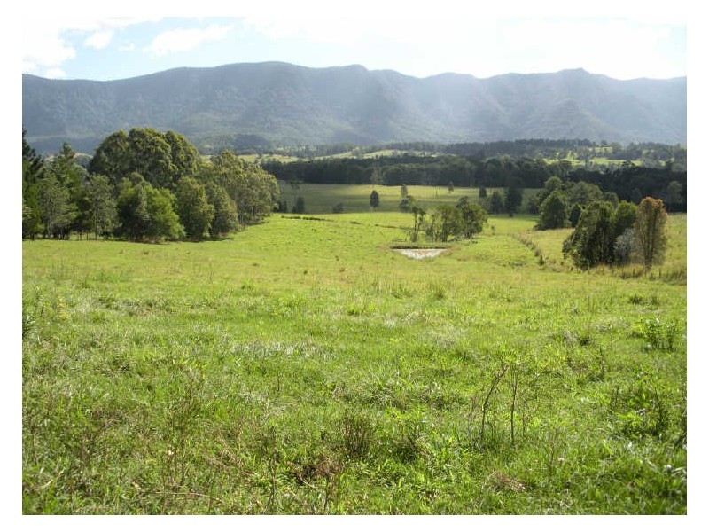 Lot 3 Pinnacle Road, Tyalgum NSW 2484
