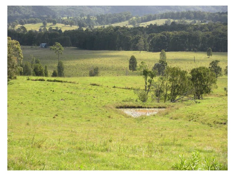 Lot 3 Pinnacle Road, Tyalgum NSW 2484