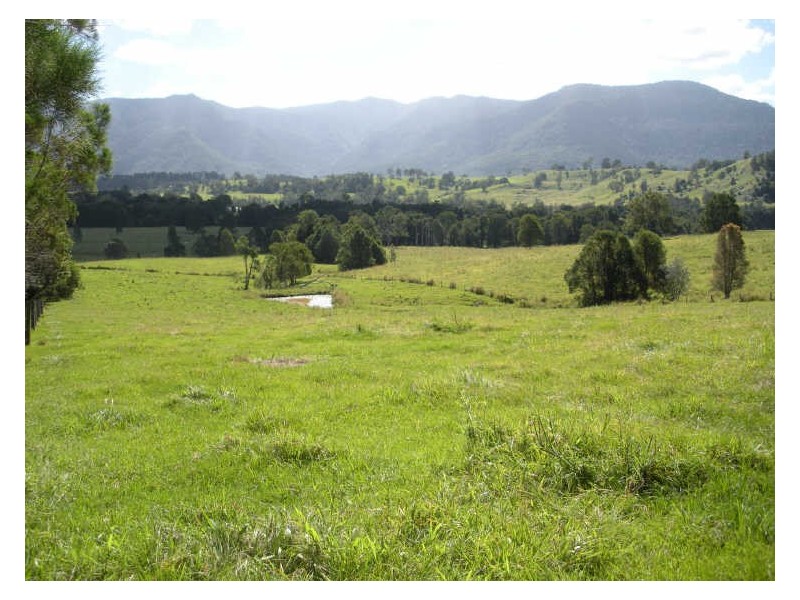 Lot 3 Pinnacle Road, Tyalgum NSW 2484