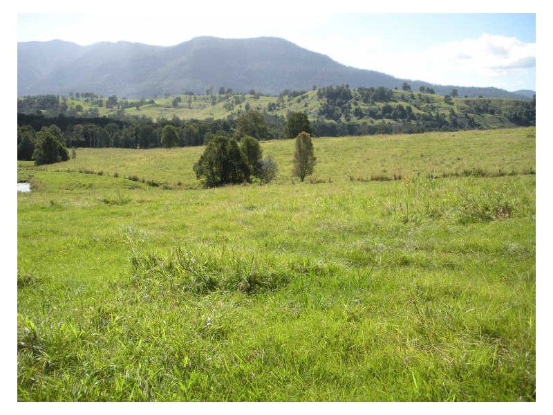 Lot 3 Pinnacle Road, Tyalgum NSW 2484
