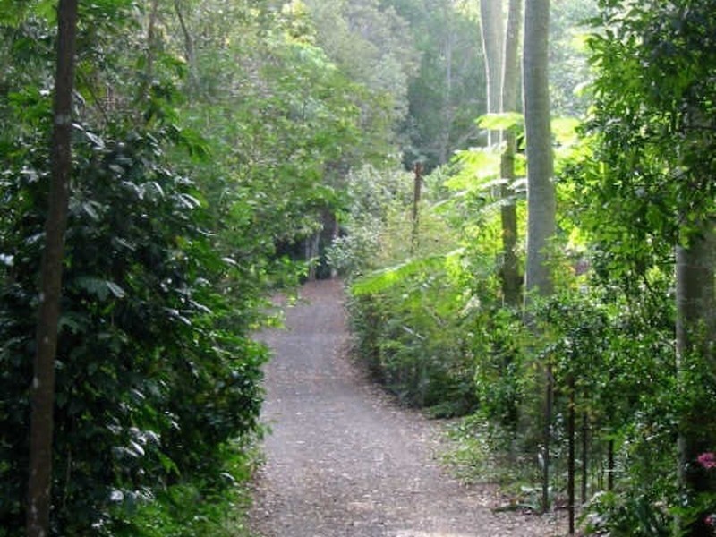 6916 Tweed Valley Wy, Stokers Siding NSW 2484