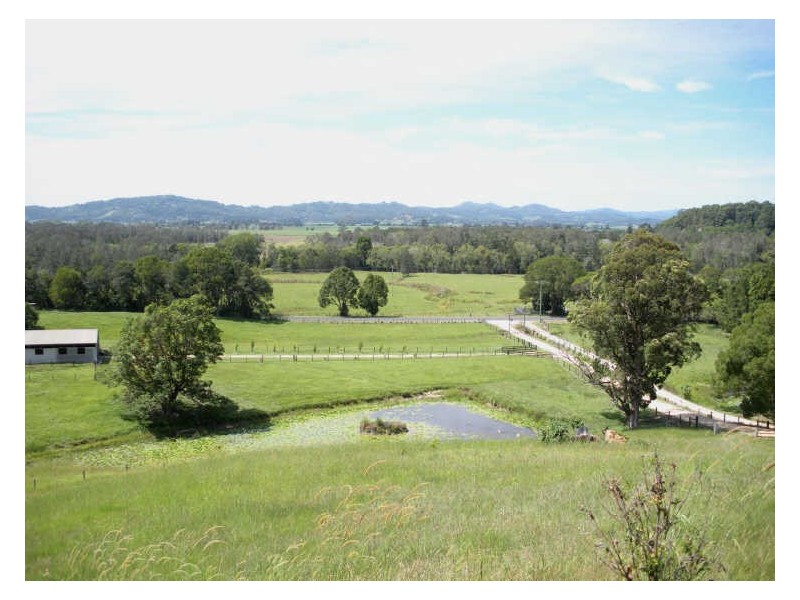 809 Dulguigan Road, Tumbulgum NSW 2490