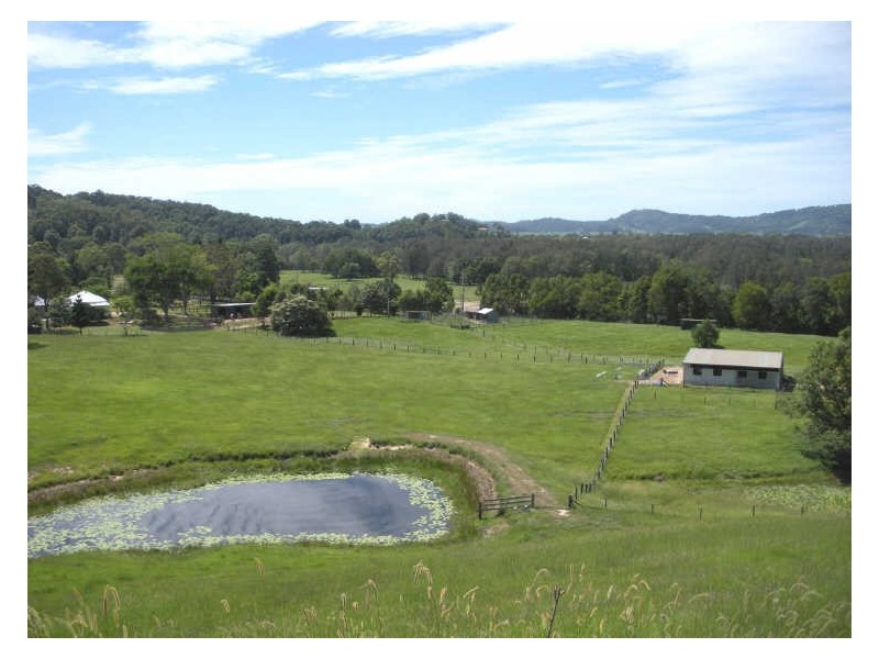 809 Dulguigan Road, Tumbulgum NSW 2490
