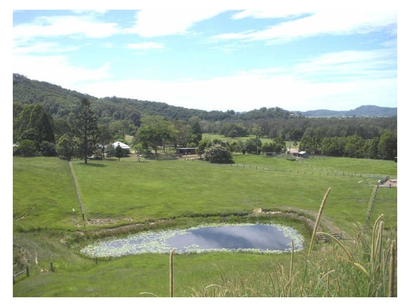 809 Dulguigan Road, Tumbulgum NSW 2490