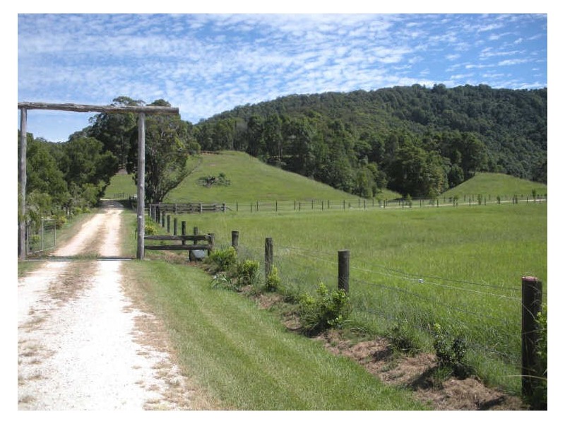 809 Dulguigan Road, Tumbulgum NSW 2490