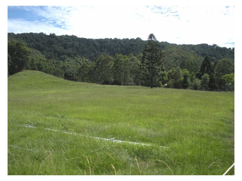 809 Dulguigan Road, Tumbulgum NSW 2490