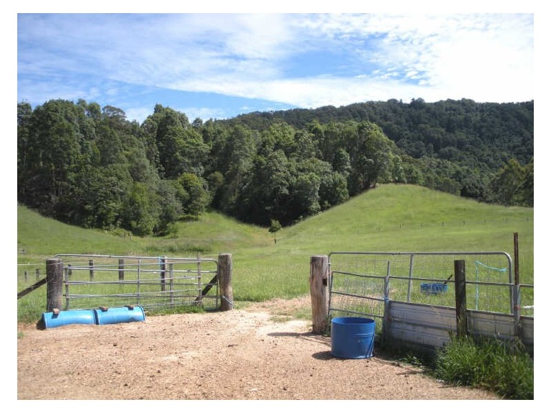 809 Dulguigan Road, Tumbulgum NSW 2490