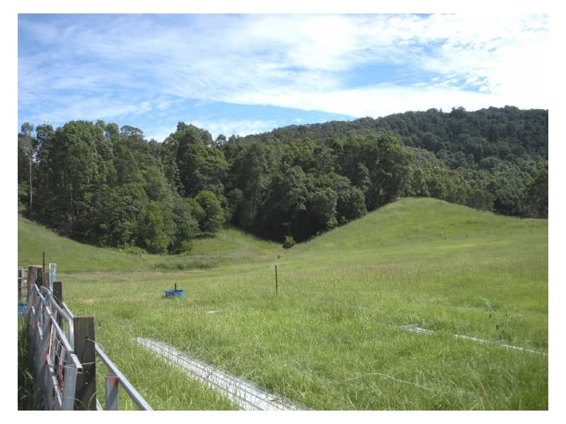 809 Dulguigan Road, Tumbulgum NSW 2490