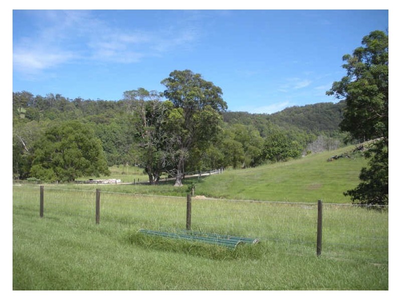 809 Dulguigan Road, Tumbulgum NSW 2490