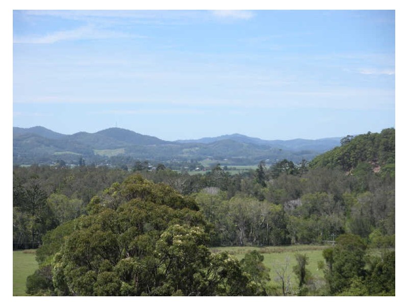 809 Dulguigan Road, Tumbulgum NSW 2490