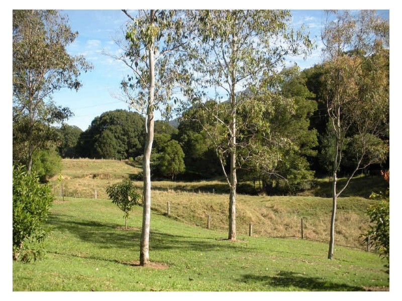 3 Meadow Place, Uki NSW 2484