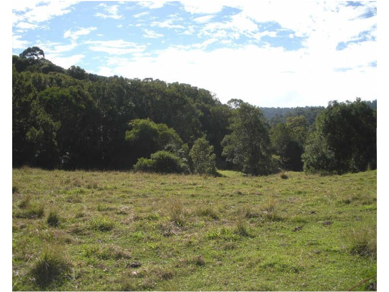 3 Meadow Place, Uki NSW 2484