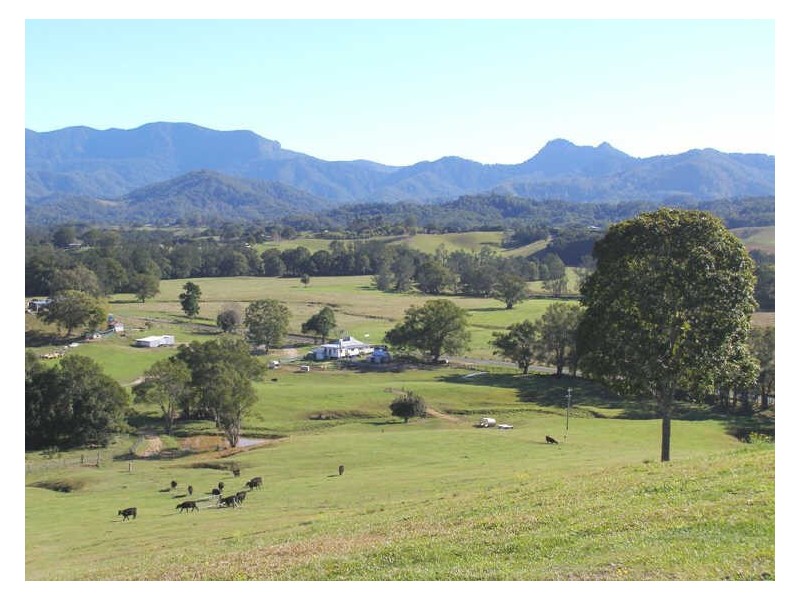 603 Numinbah Road, Bray Park NSW 2484