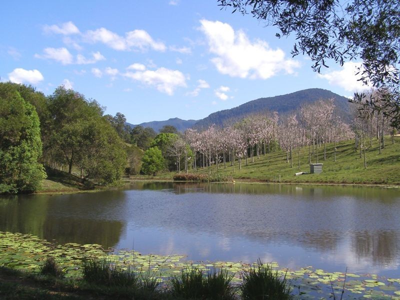 9 Charbray Place, Tyalgum NSW 2484