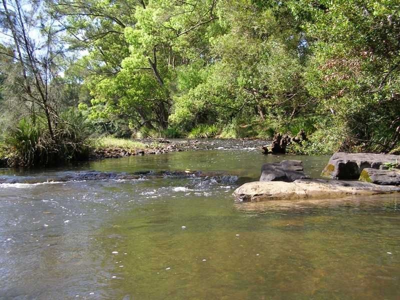 9 Charbray Place, Tyalgum NSW 2484