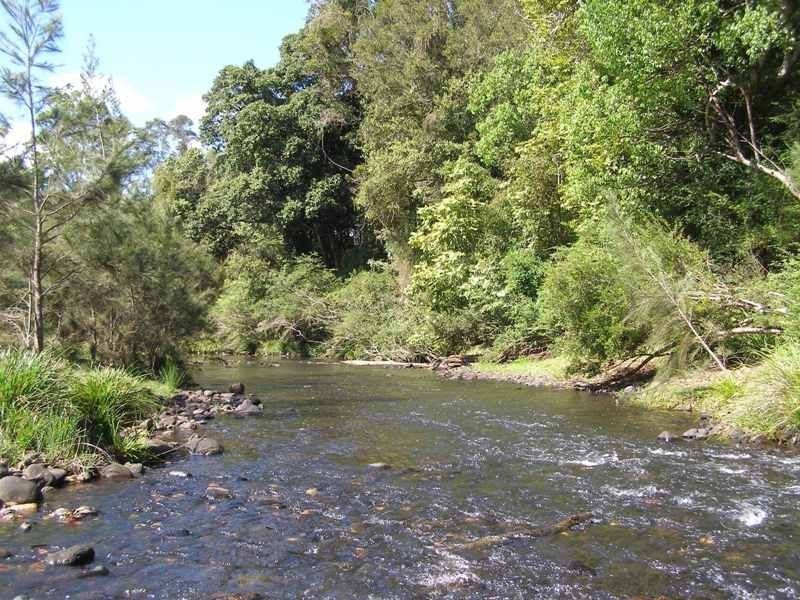 9 Charbray Place, Tyalgum NSW 2484