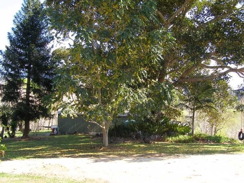 9 Charbray Place, Tyalgum NSW 2484