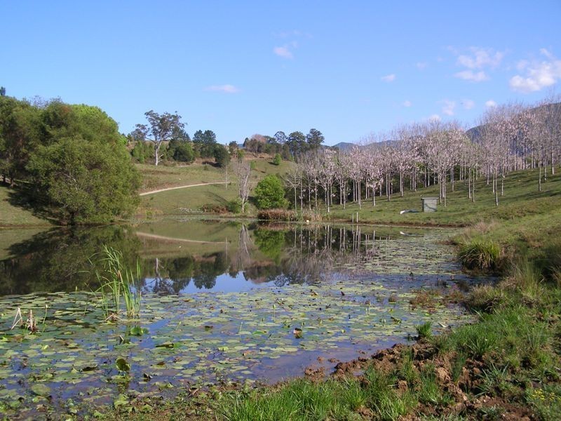 9 Charbray Place, Tyalgum NSW 2484