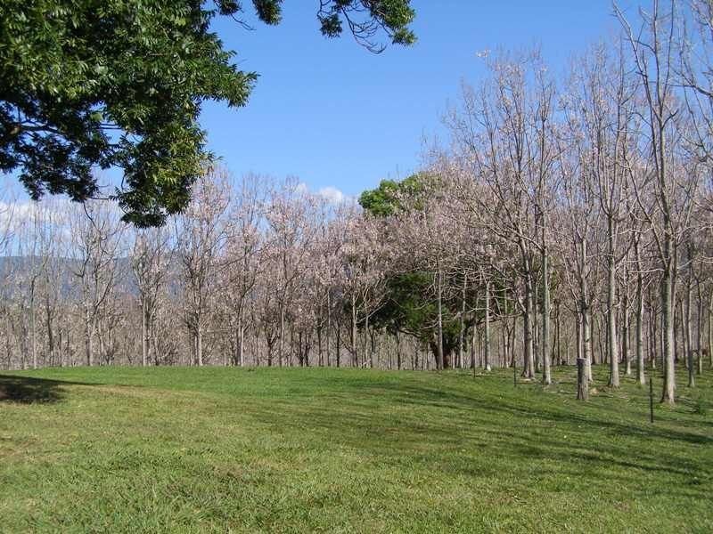 9 Charbray Place, Tyalgum NSW 2484