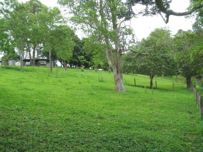 1277 Urliup Road, Urliup NSW 2484