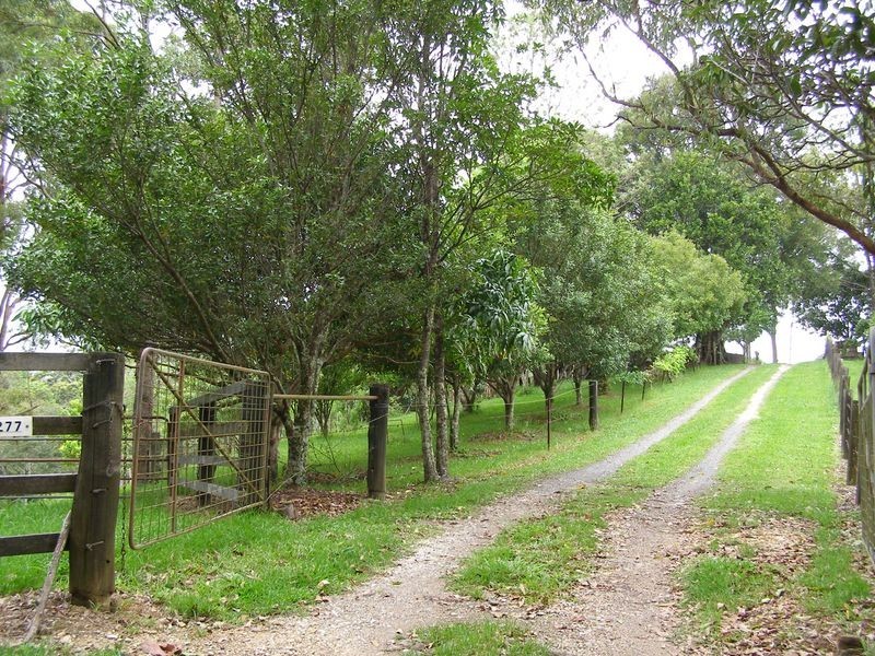 1277 Urliup Road, Urliup NSW 2484