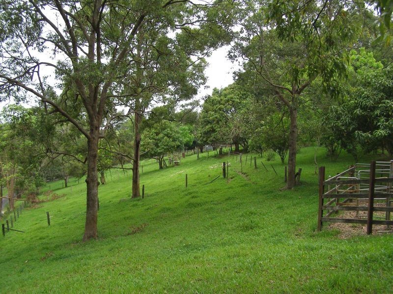 1277 Urliup Road, Urliup NSW 2484