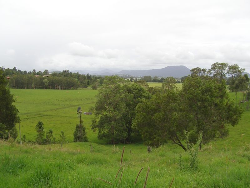 1277 Urliup Road, Urliup NSW 2484