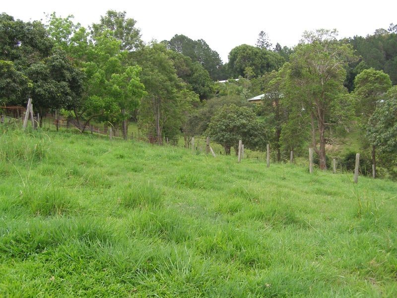 1277 Urliup Road, Urliup NSW 2484