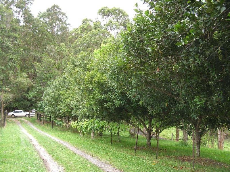 1277 Urliup Road, Urliup NSW 2484