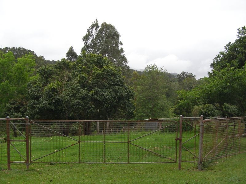 1277 Urliup Road, Urliup NSW 2484