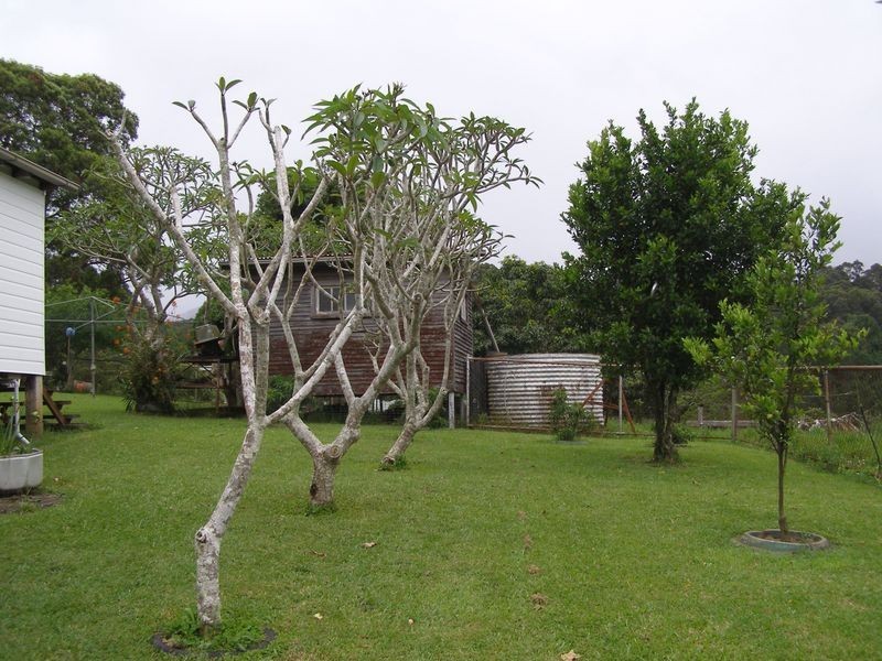 1277 Urliup Road, Urliup NSW 2484