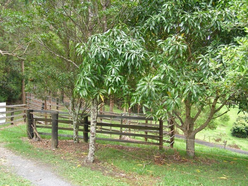 1277 Urliup Road, Urliup NSW 2484