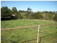1277 Urliup Road, Urliup NSW 2484
