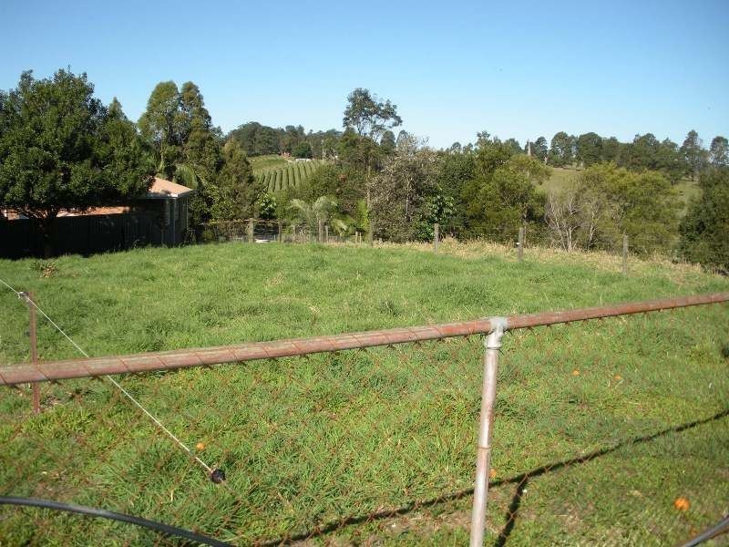 1277 Urliup Road, Urliup NSW 2484