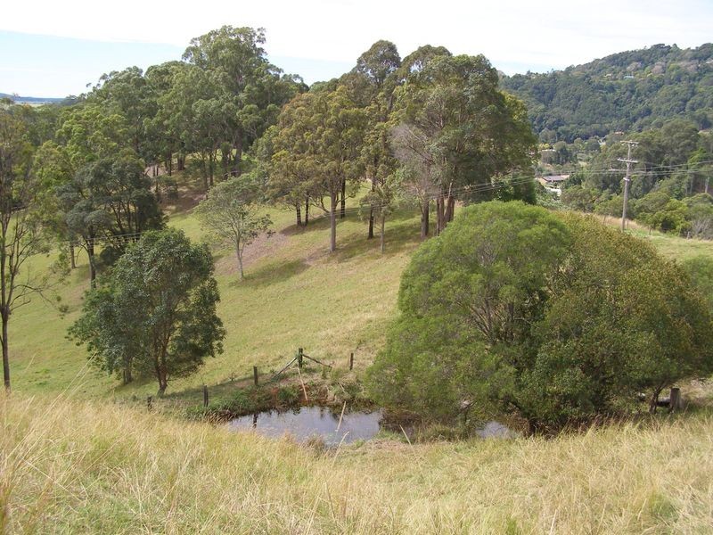 287 Clothiers Creek Road, Nunderi NSW 2484