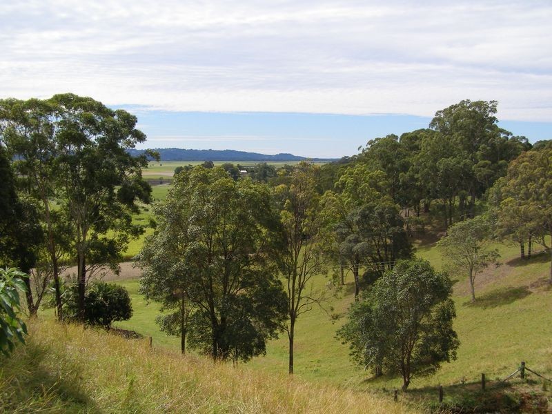 287 Clothiers Creek Road, Nunderi NSW 2484