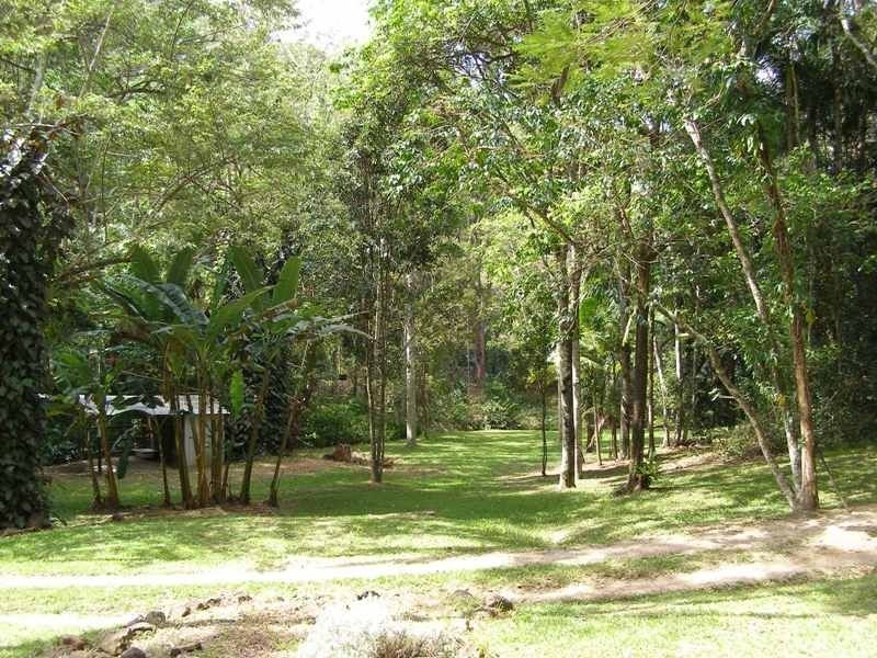 1273 Reserve Creek Road, Reserve Creek NSW 2484