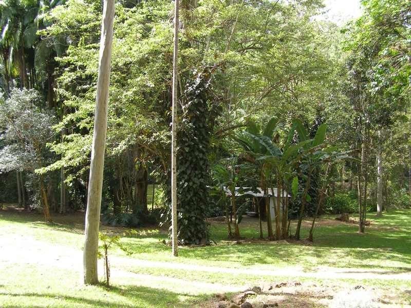 1273 Reserve Creek Road, Reserve Creek NSW 2484