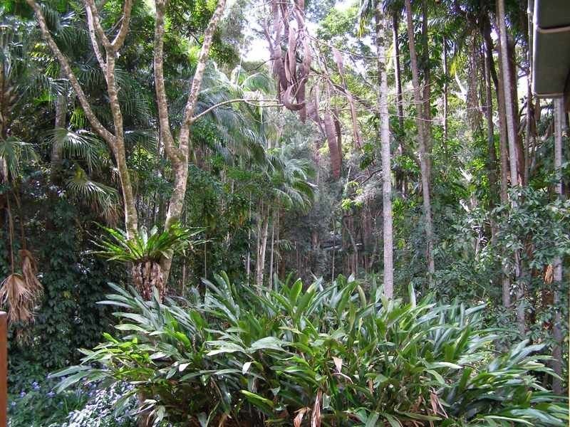 1273 Reserve Creek Road, Reserve Creek NSW 2484