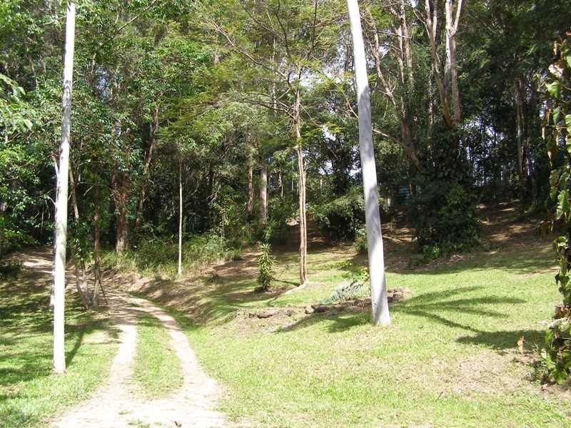 1273 Reserve Creek Road, Reserve Creek NSW 2484