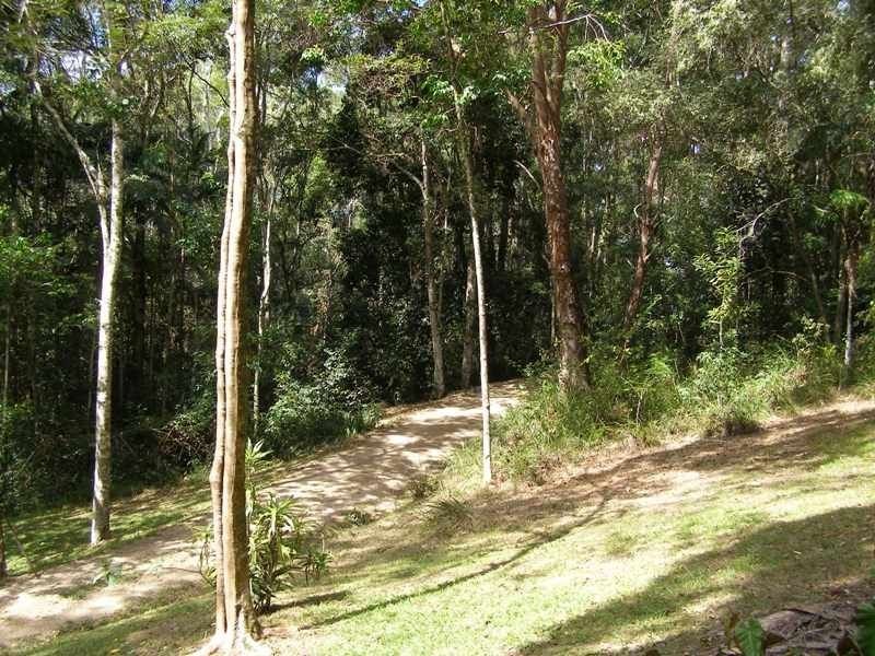 1273 Reserve Creek Road, Reserve Creek NSW 2484