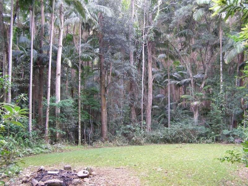 1273 Reserve Creek Road, Reserve Creek NSW 2484