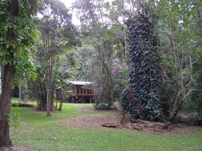 1273 Reserve Creek Road, Reserve Creek NSW 2484