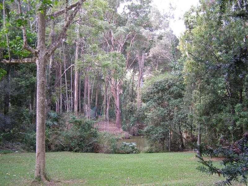 1273 Reserve Creek Road, Reserve Creek NSW 2484