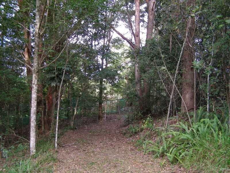 1273 Reserve Creek Road, Reserve Creek NSW 2484