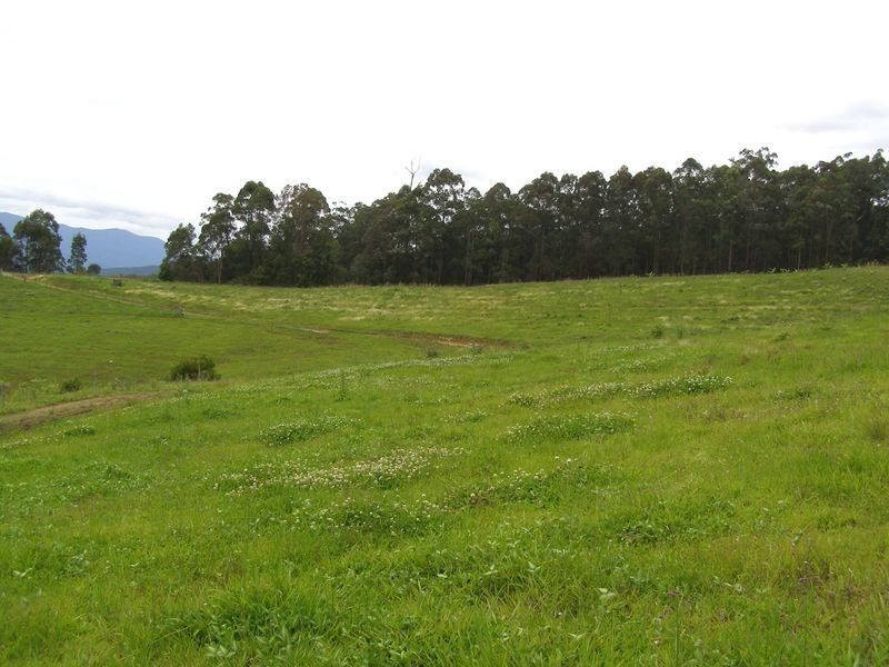 286 Tyalgum Ridge Road, Tyalgum NSW 2484