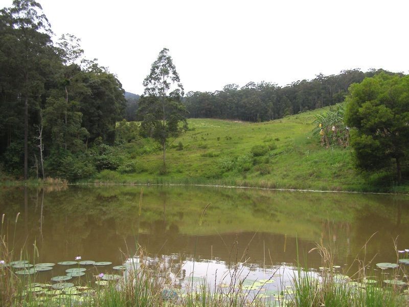 286 Tyalgum Ridge Road, Tyalgum NSW 2484