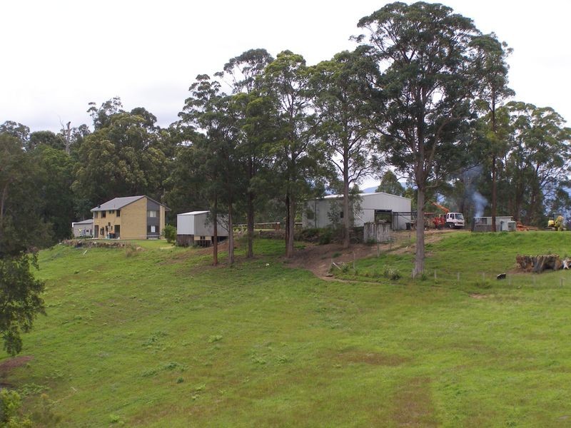 286 Tyalgum Ridge Road, Tyalgum NSW 2484