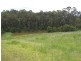 286 Tyalgum Ridge Road, Tyalgum NSW 2484