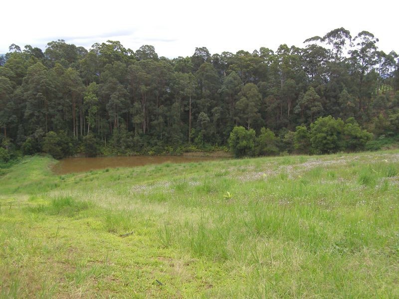 286 Tyalgum Ridge Road, Tyalgum NSW 2484